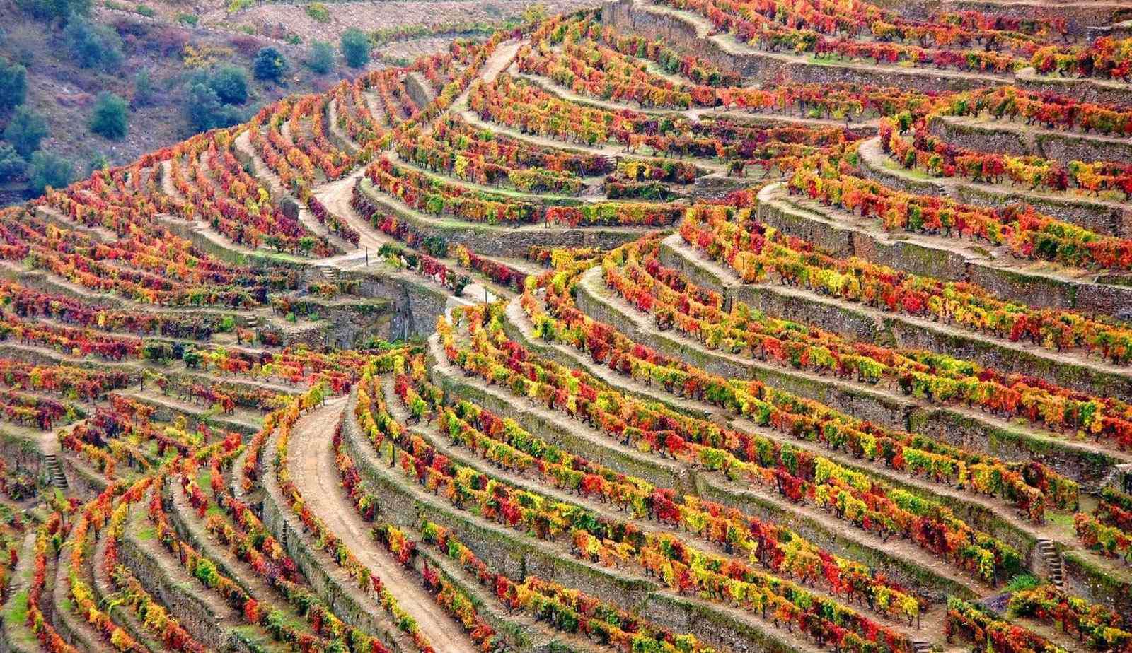 Valle del Douro